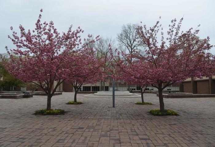 美国louis是哪里,美国有哪些专栏