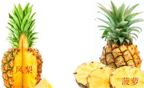 原产中国本土的水果,国产水果进口水果的名称