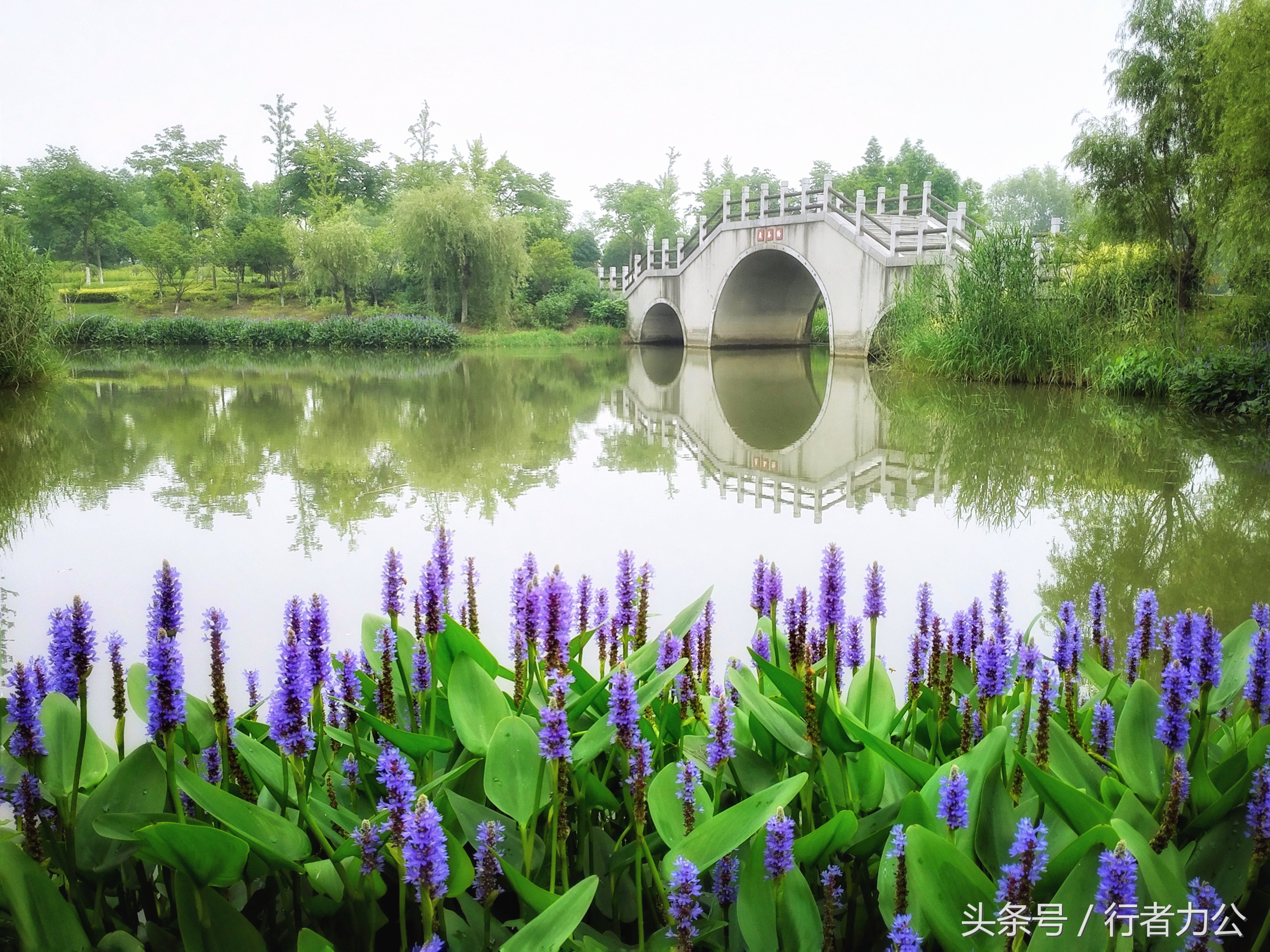 尚贤河湿地公园攻略,尚贤河湿地景点