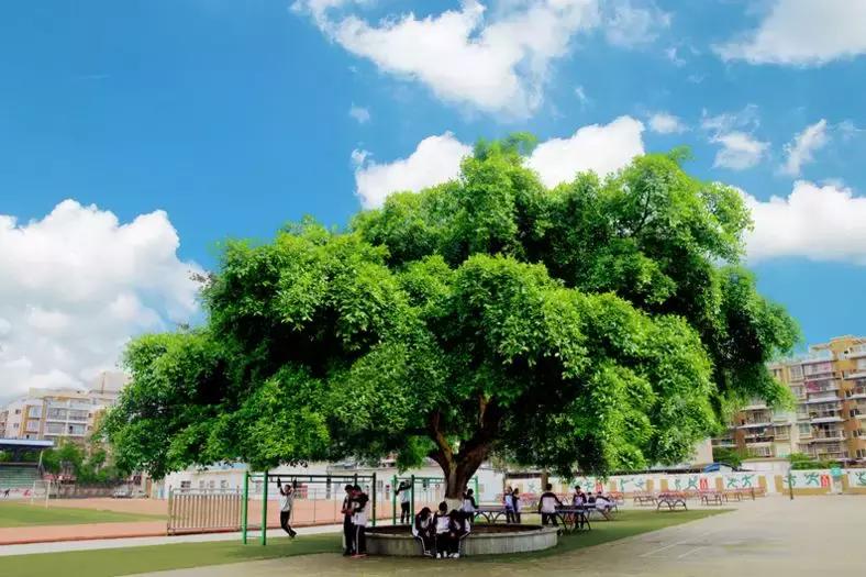 走进乐山一中,乐山一中辉煌时刻