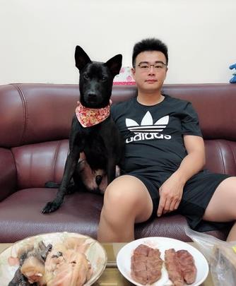 爱是最好的整容方式！狗狗身上长蛆发臭，惹人厌，半年后判若两狗