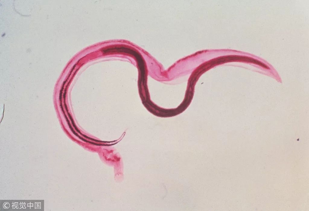 古人回复别来无恙,古人别来无恙怎么回复