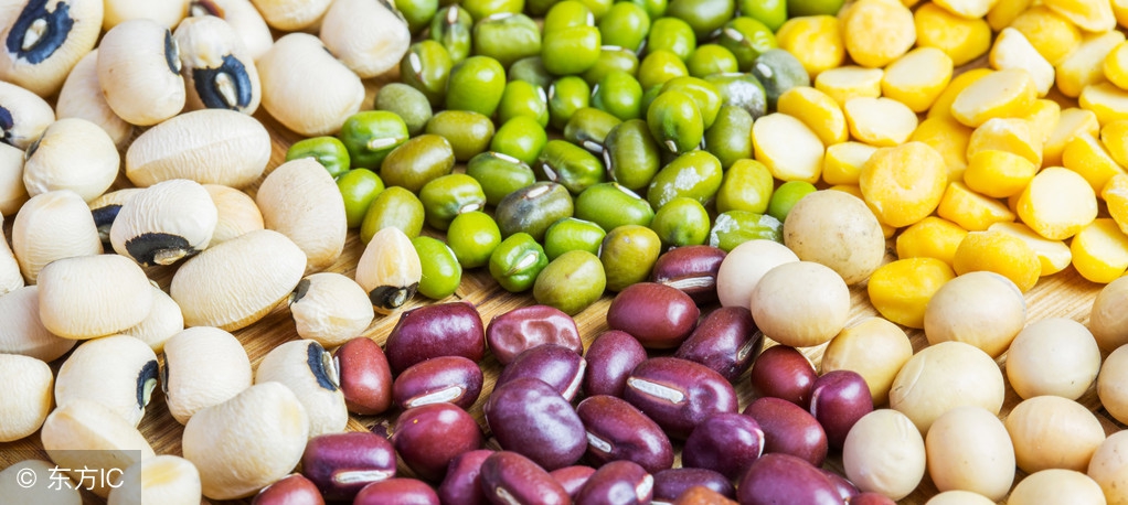 健康饮食养生攻略,健康饮食与养生食谱