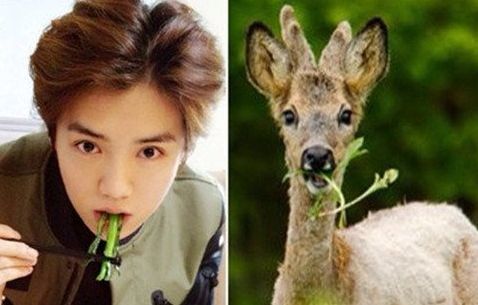 拜托了冰箱魏大勋猜词,拜托了冰箱魏大勋谈起谢娜