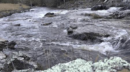 洗衣粉加醋可以去除污渍吗,洗衣粉添加什么清洗污迹