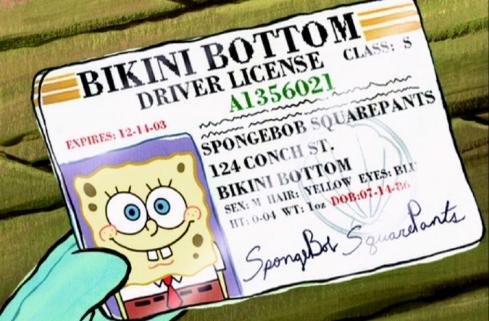 海绵宝宝四个小知识,海绵宝宝之海绵宝宝的五个小秘密