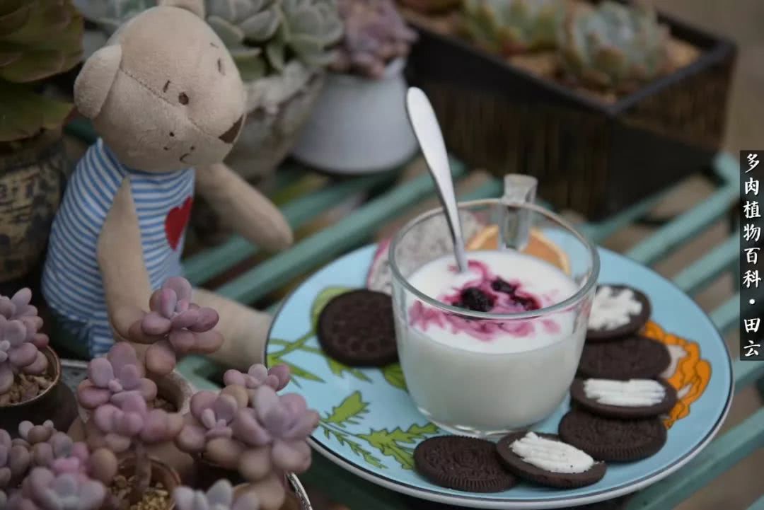 推开世界的门和自己和解,推开世界的门你所看到的风景