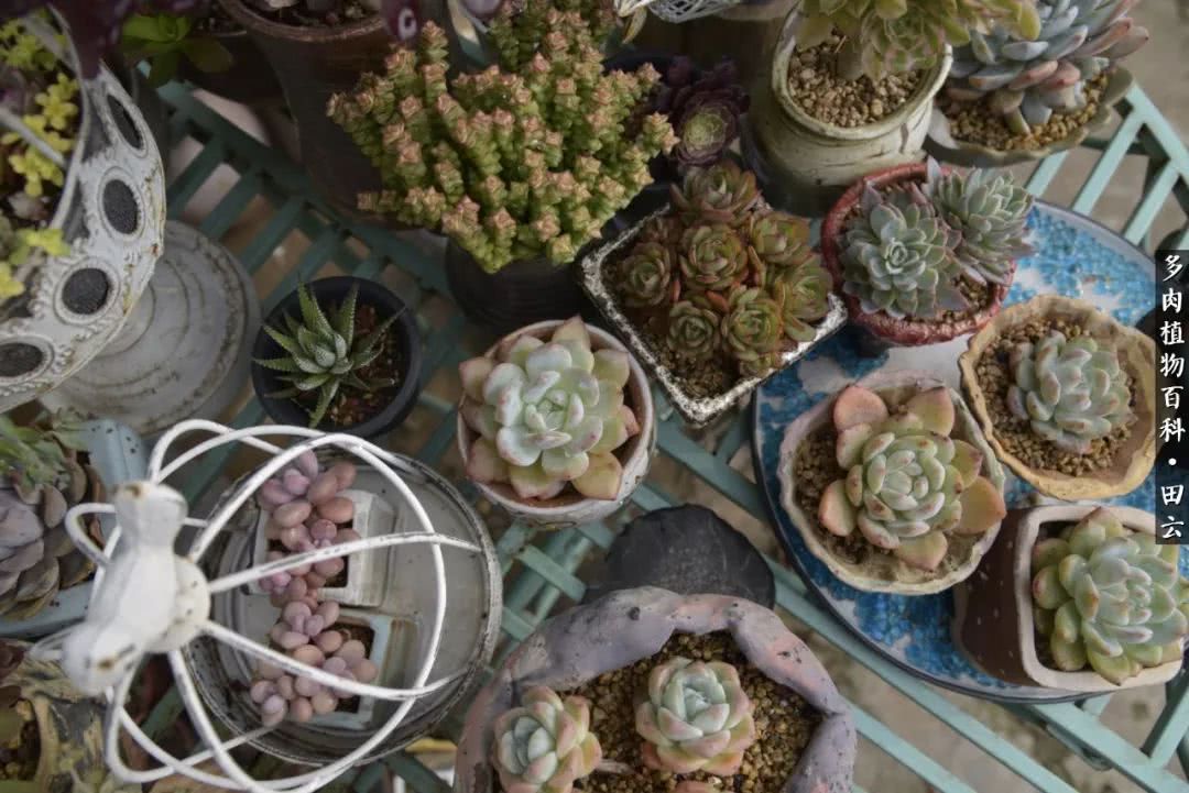 推开世界的门和自己和解,推开世界的门你所看到的风景