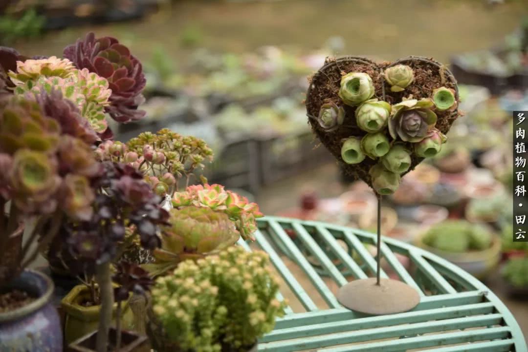 推开世界的门和自己和解,推开世界的门你所看到的风景