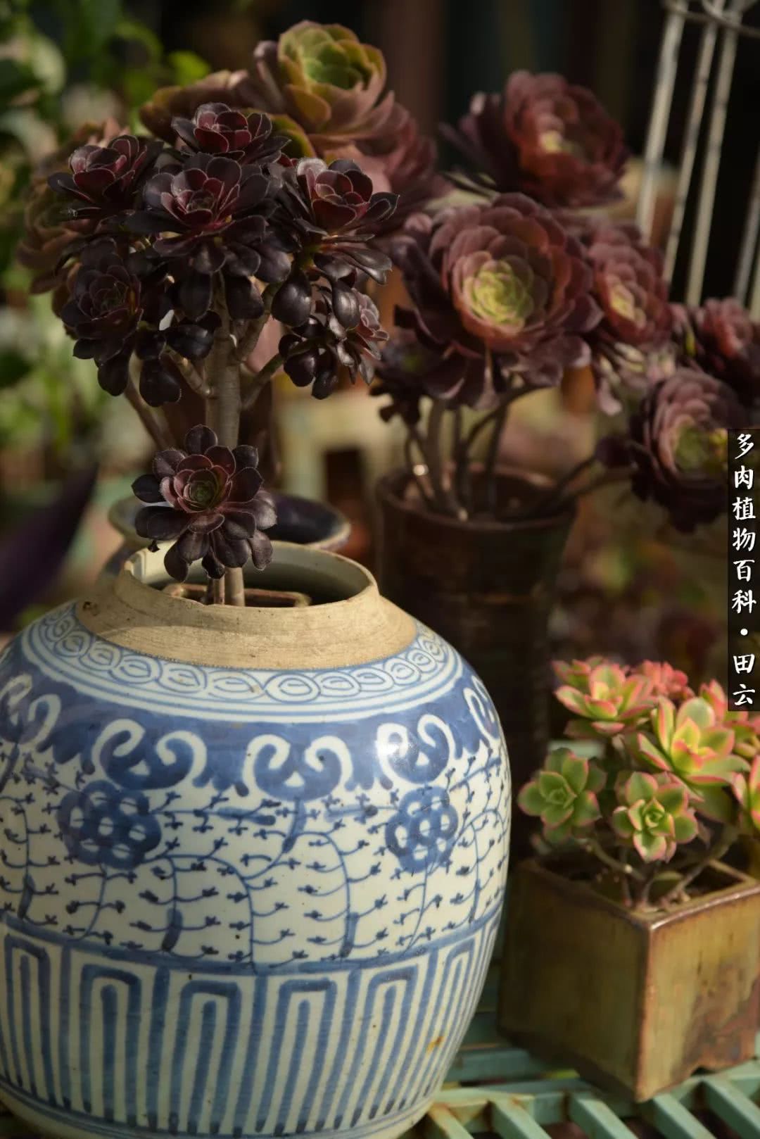 推开世界的门和自己和解,推开世界的门你所看到的风景