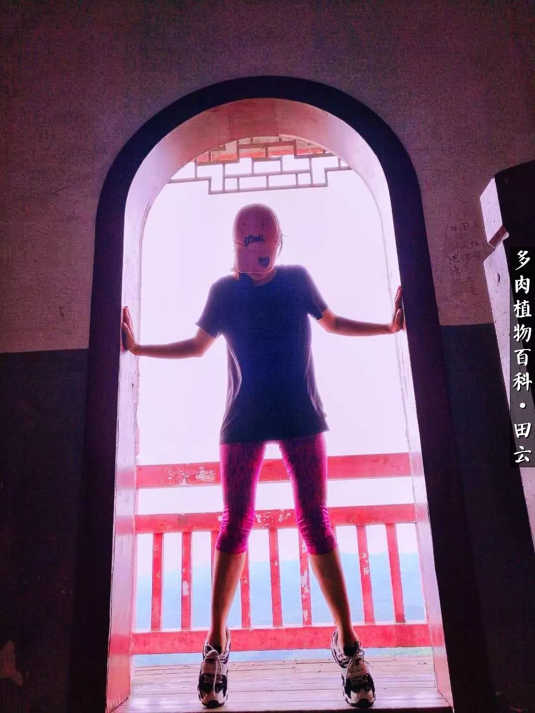 推开多肉世界的门，原来你与美食来自同一国度！