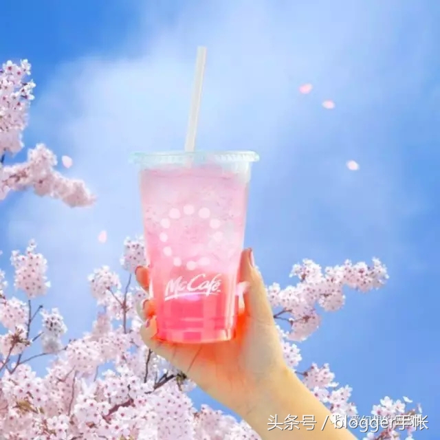 赏樱花的季节赏美人,赏樱的烂漫时节