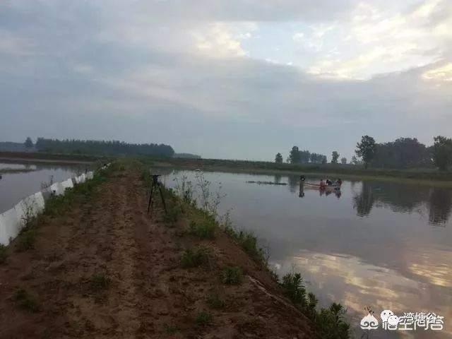 怎样快速的养殖小龙虾,人工养殖小龙虾是怎样养的