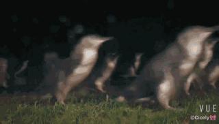 “新晋男友”李现代言的这个南半球网红城市，6月往返只需¥3000