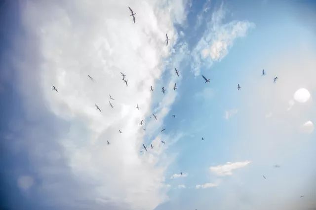 玩客说丨这里有一张东方“海盗”的藏宝图