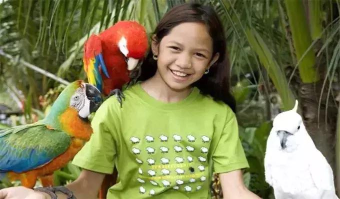 国内小众4个海岛人少景美还便宜,富国岛旅游攻略免签