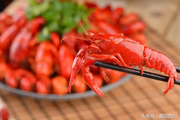 2018世界杯看球秘诀,2018世界杯观赛回忆