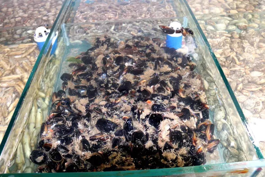 大泉沟海鲜美食街,大泉沟美食街7号