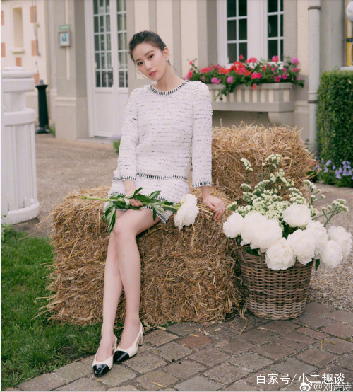 刘诗诗杜维埃,刘诗诗的迷人之美