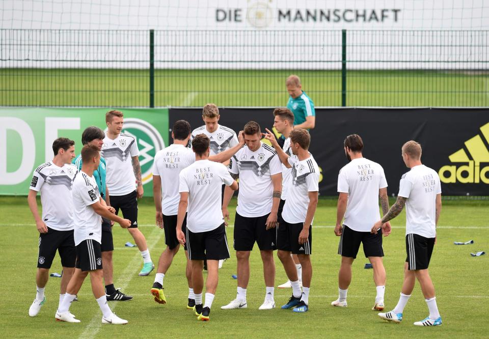 足球专家付费预测德国vs丹麦,德国世界杯勒夫