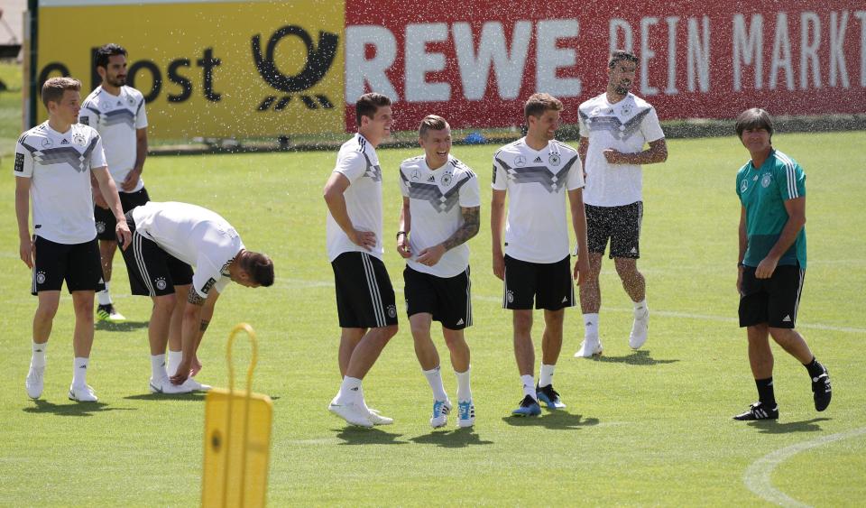 足球专家付费预测德国vs丹麦,德国世界杯勒夫