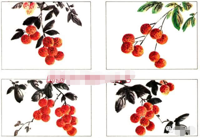 简单国画教程零基础入门植物,国画蔬果茄子与苦瓜的画法