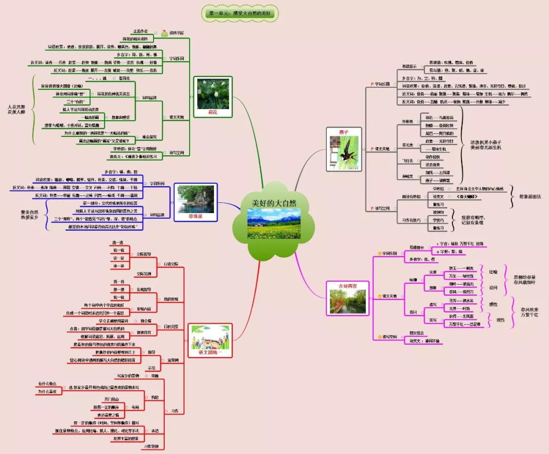 三年级语文1-4单元思维导图大全,三年级语文第一单元思维导图8k纸