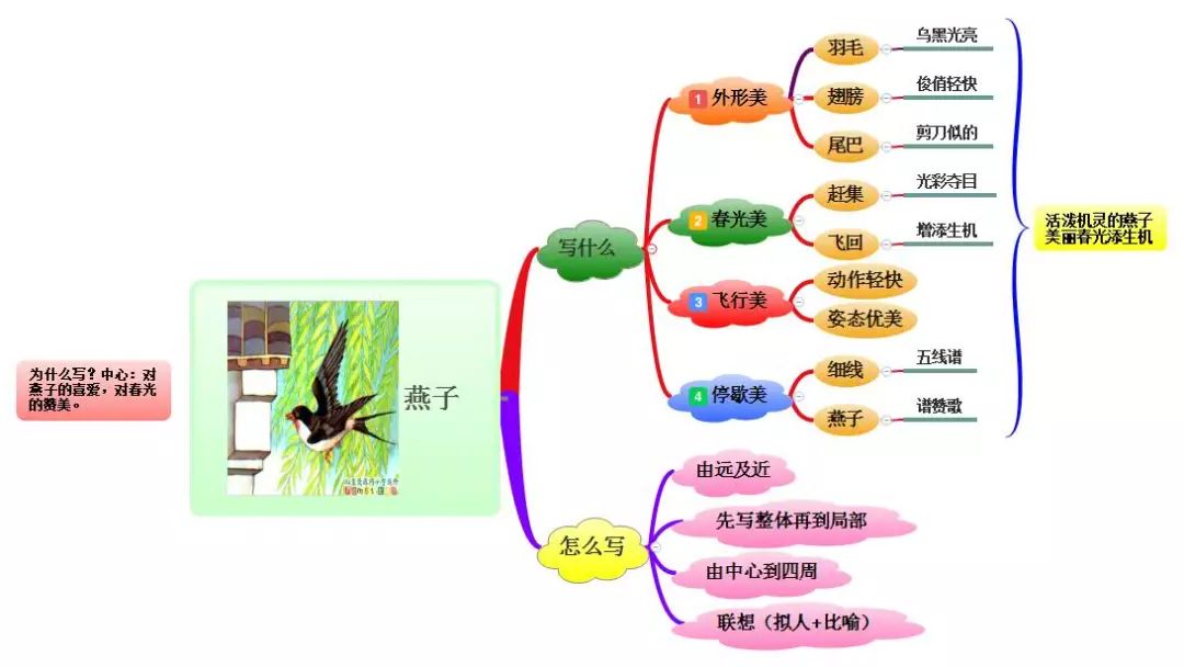 三年级上册语文思维导图模板空白,三年级语文第一单元思维导图8k纸