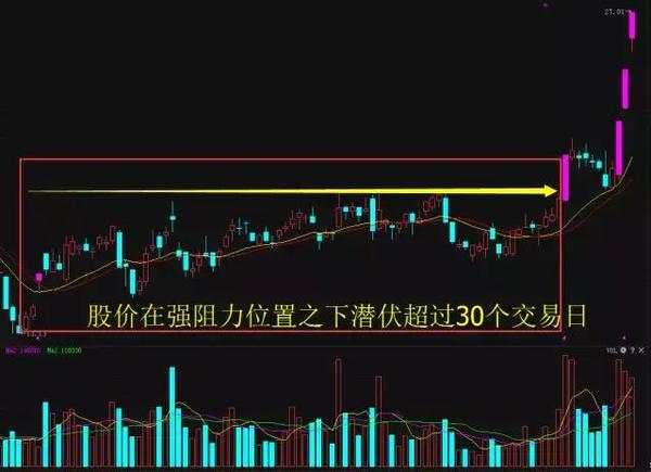 上海顶级股票操盘手,上海黑马操盘手