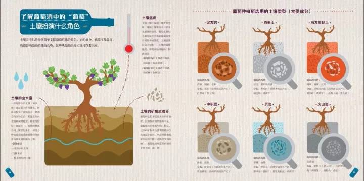 中国红酒厂酿酒全过程,中国红酒酿酒技术