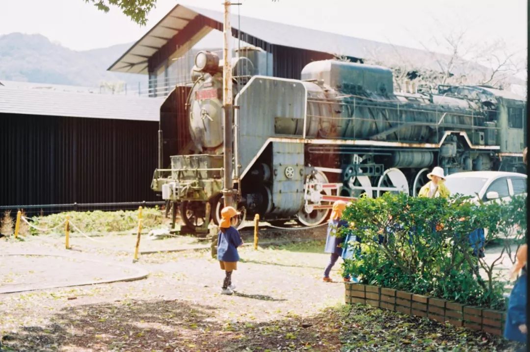 日本发现的大宝藏,日本挖出大宝藏