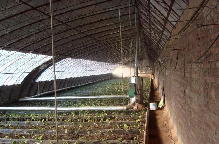 无土栽培的设施和建造,常见的无土栽培设施类型有哪些