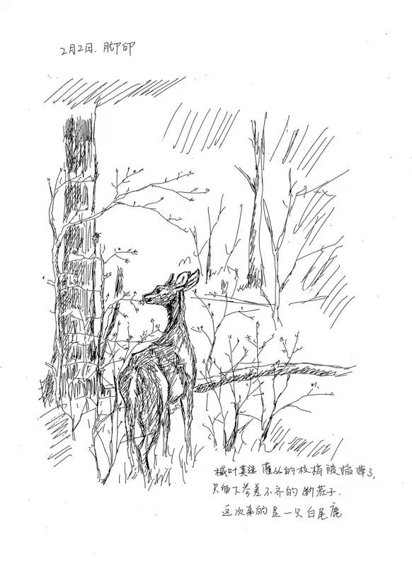 年货精选分享,年货精选30本哲学好书