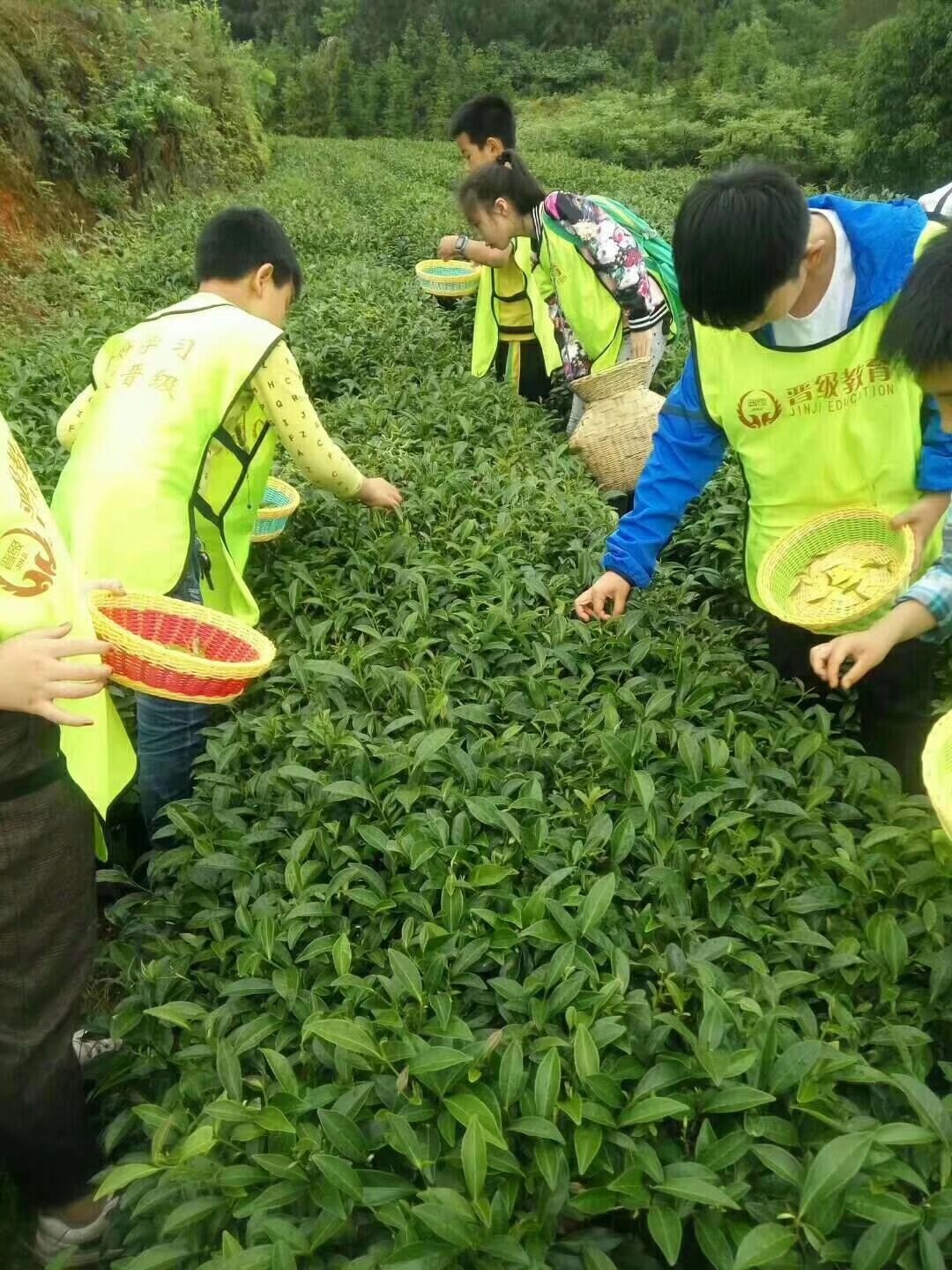 24年投资小饭桌赚钱吗,自己开小饭桌怎么赚钱