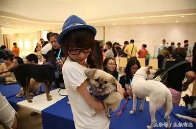 青岛世界杯,2018年的青岛世界杯