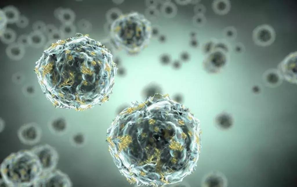 一瓣蒜，吃出7种健康！按照这5个“公式”，补肾活血，养肝护胃