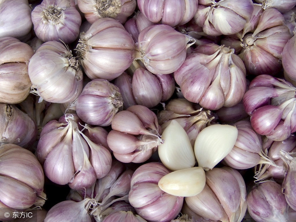 一瓣蒜，吃出7种健康！按照这5个“公式”，补肾活血，养肝护胃