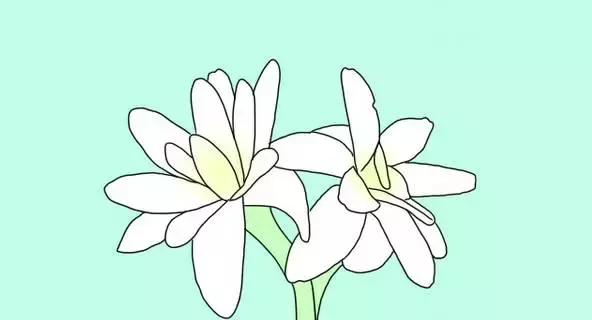 洗衣液会招蚊子吗,啤酒洗衣液驱蚊小妙招