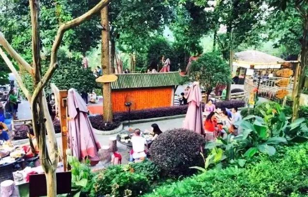 双流县十大美女,双流区漂亮美女