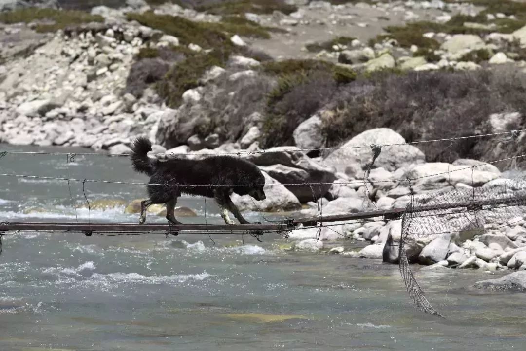 希夏邦马徒步详细路线图,希夏邦马大环线徒步