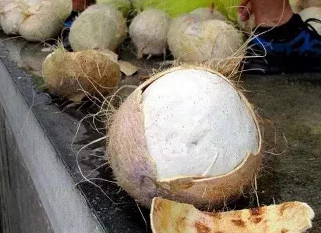 可笑又可怕，为了运毒，他们连小丁丁都不放过