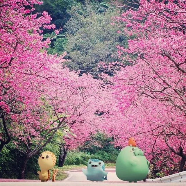 炎炎夏日来超市感受到一丝清凉,炎炎夏日来碗冰淇淋