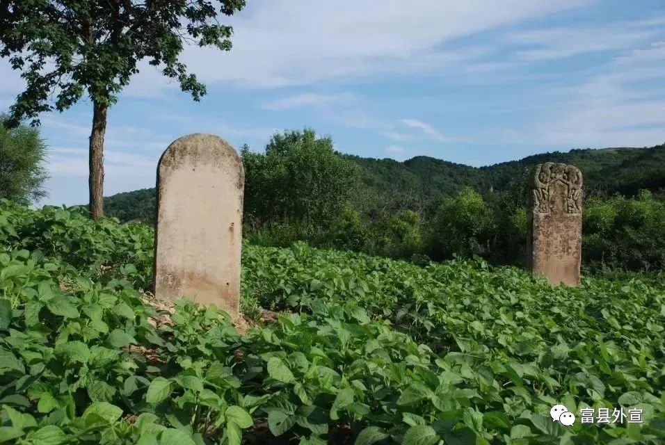富县与富平是一个地方吗,富县是个好地方手抄报