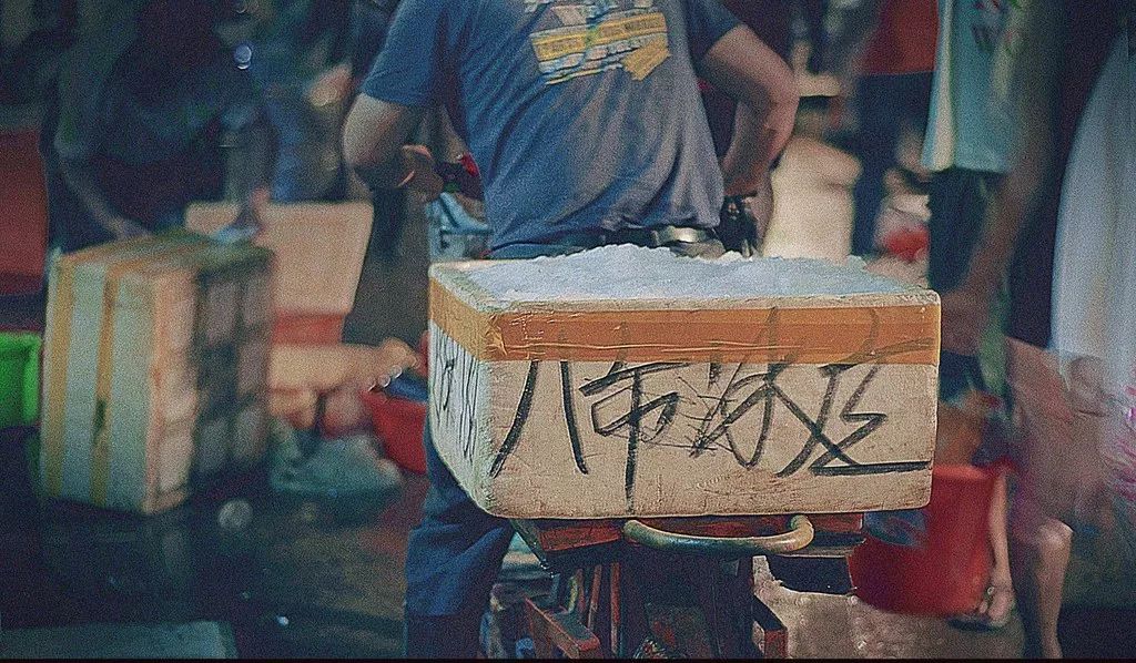 这个夏天我们再邂逅一次厦门吧,这个夏天想跟你再去一次厦门