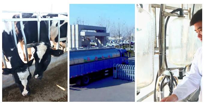 益膳房的牛奶怎么样,益膳房纯牛奶是调制的吗