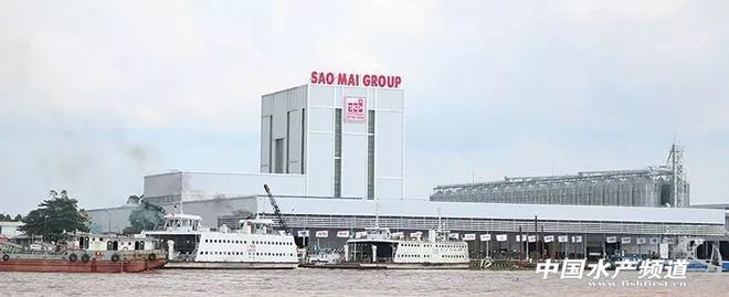越南巴沙鱼产能,越南河内巴沙鱼工厂简介