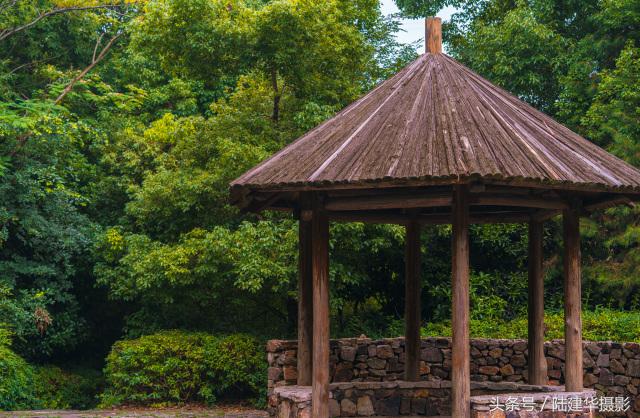 粽情端午南通,粽情端午邻里相约