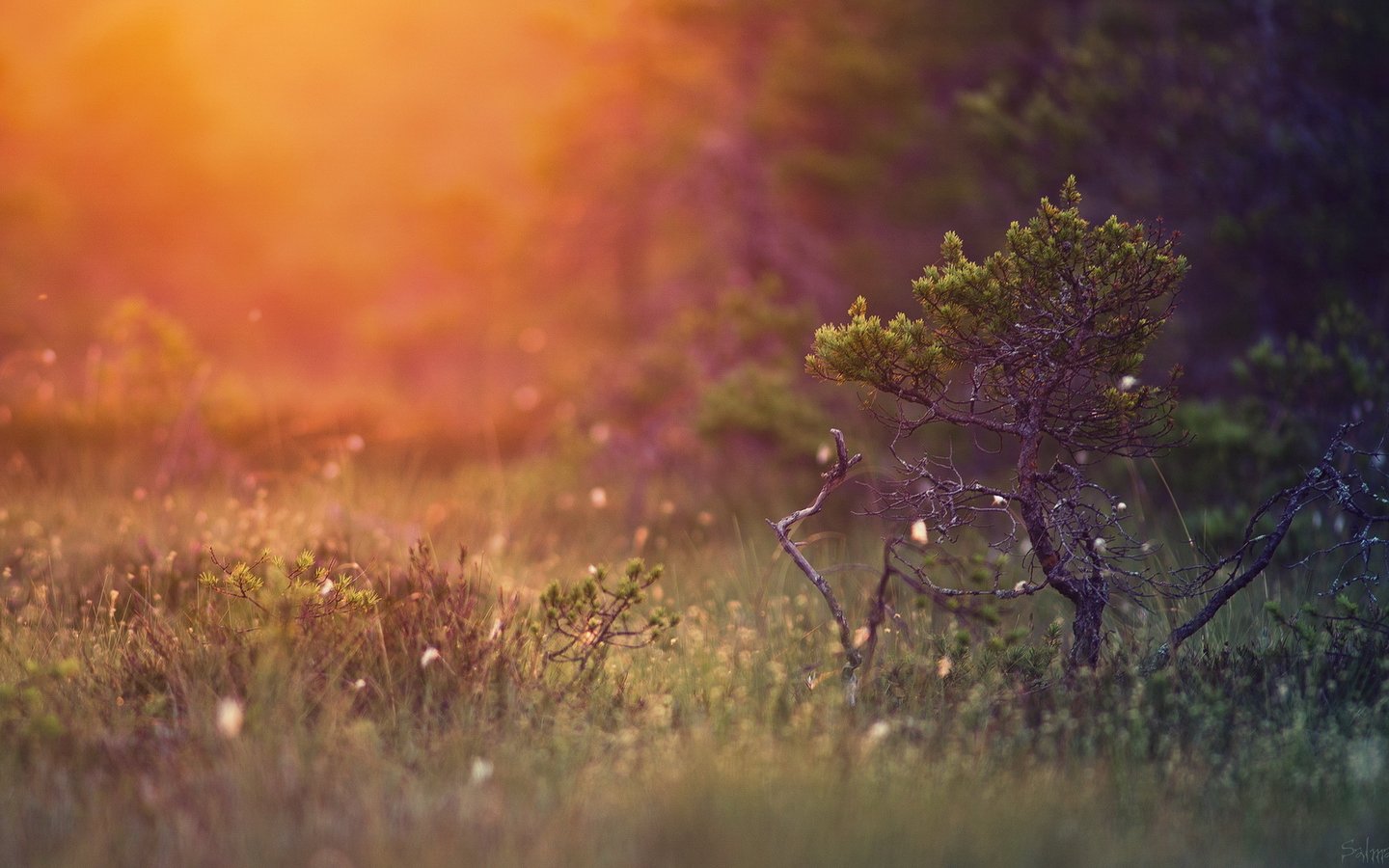 两个相爱的人会心有灵犀的感应,两个相爱的人是会心有灵犀的