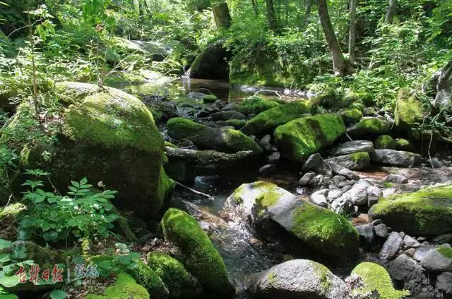 深读，这就是延边！这里有一个22℃的夏天，还有……