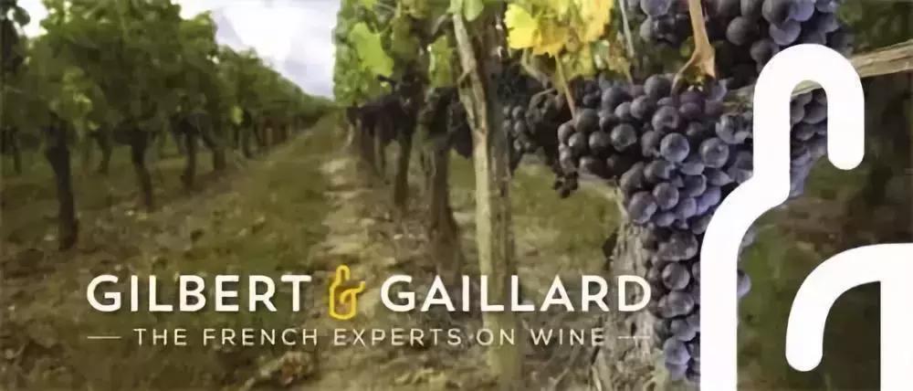 尼雅葡萄酒优选级,尼雅葡萄酒系列哪个比较好喝